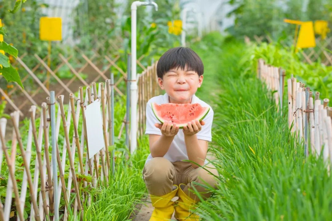 有关夏天的优美古诗词（摆脱世俗的追求）