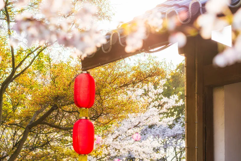 关于春光经典诗词大全（感受春天里最美的风景）