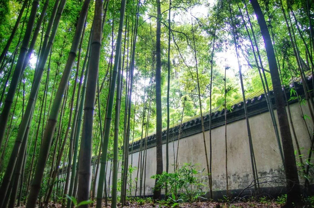 不负岁月情深，花落花开皆欢喜（关于六月经典诗词赏析）