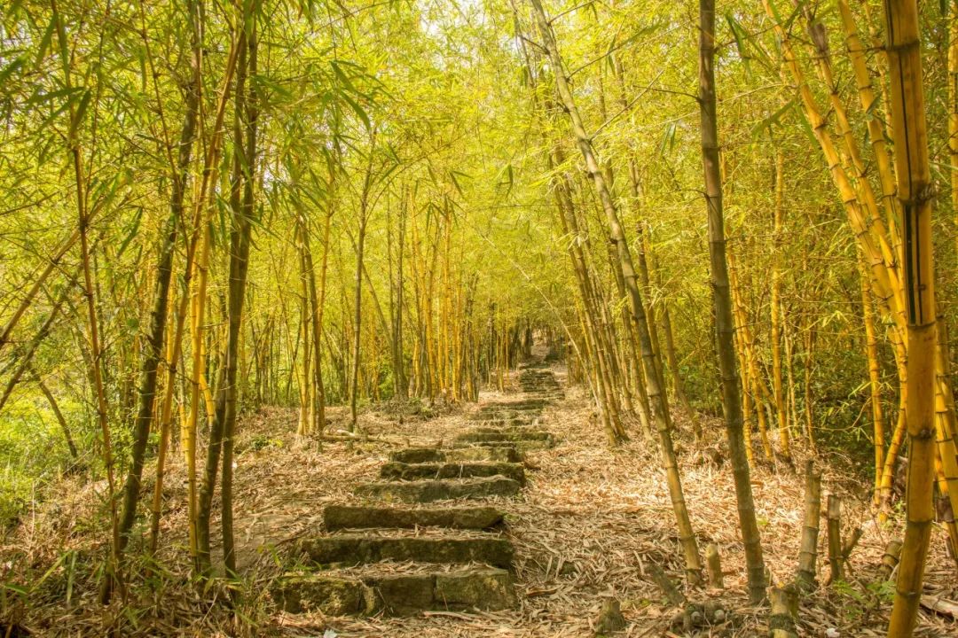 不负岁月情深，花落花开皆欢喜（关于六月经典诗词赏析）