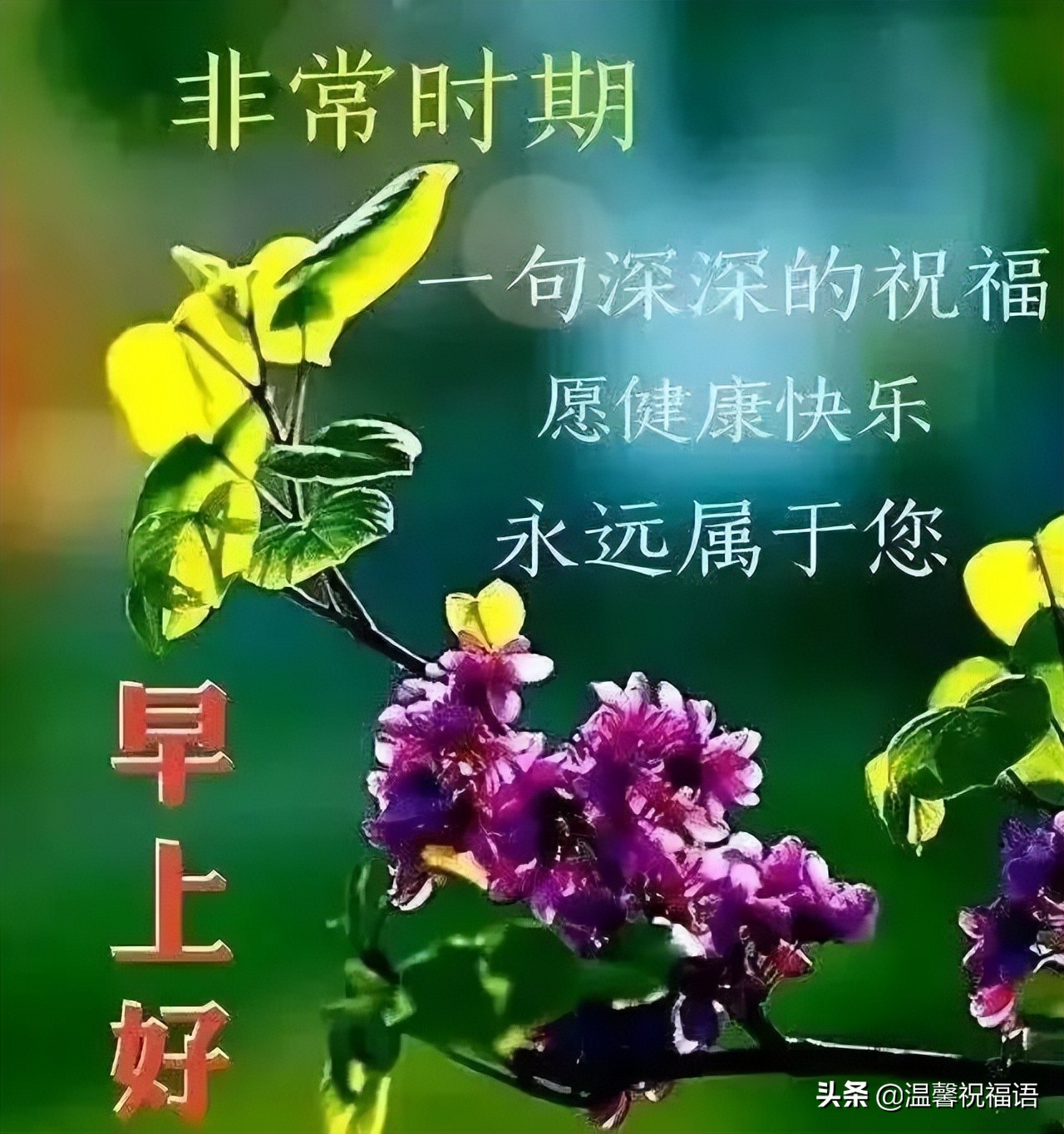 岁月无情人有情（抗击疫情正能量传递祝福语）