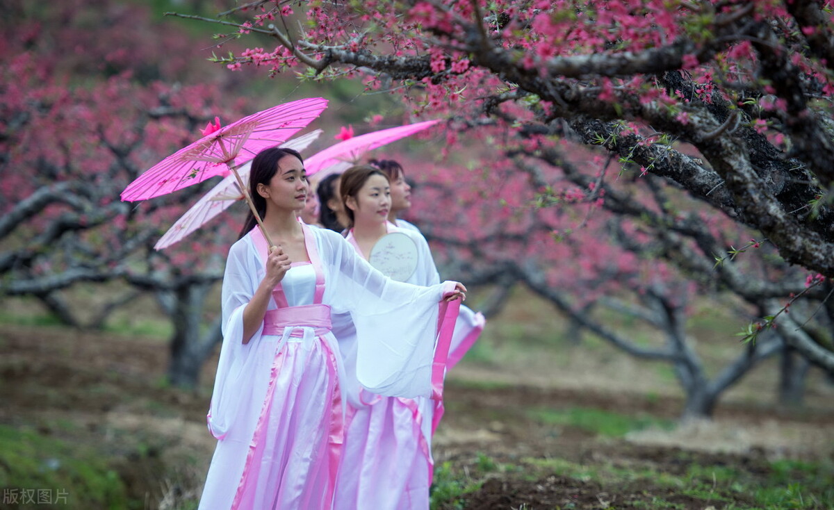 三八妇女节祝福诗词赏析（巾帼力顶半边天）