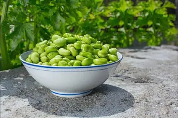 立夏节气抖音祝福寄语（立夏节气抖音夏日炎炎的问候语）