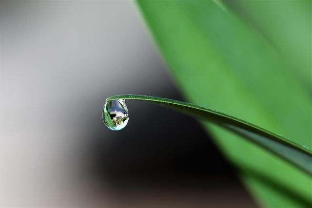 来处理内心的焦虑与迷茫（智慧箴言的诗词古句）