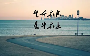 关于我的理想的作文500字（精选10篇）