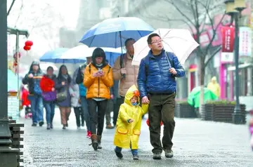 关于听雨的作文800字（报春的喜雨）