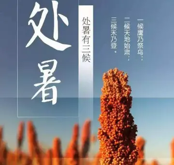 关于处暑伏节气祝福及问候语（分享50句小暑简短祝福语）