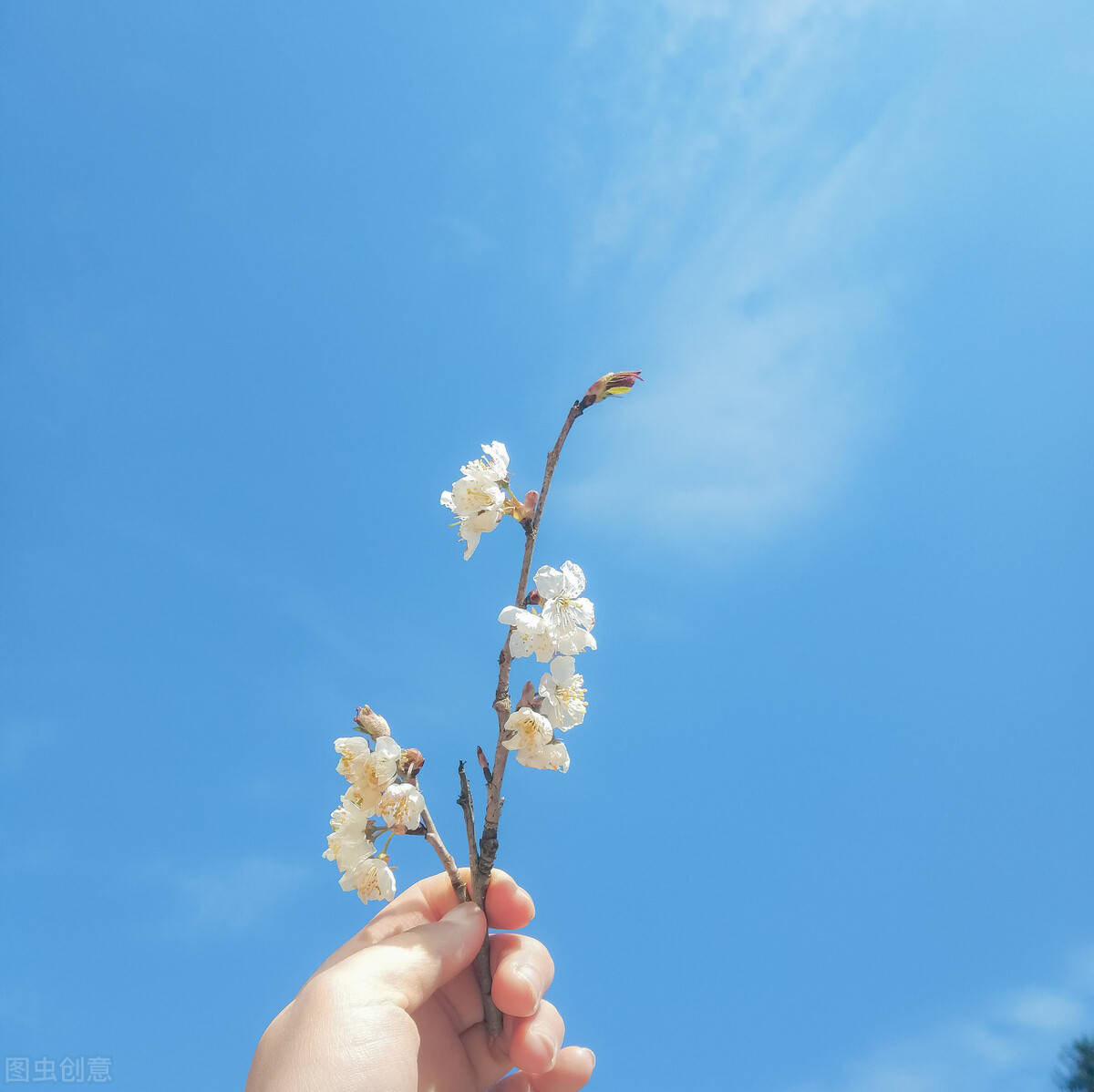 中考加油励志的句子文案（你得靠自己熬过去，加油）