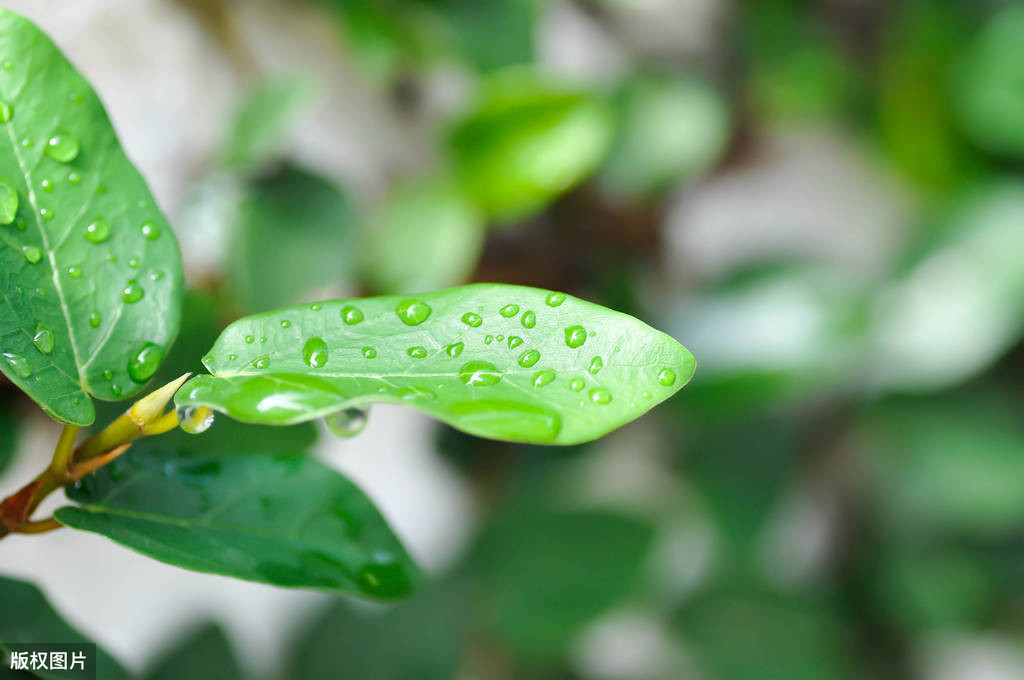 描写雨天古诗绘雨天的诗句，形容雨天的唯美古诗词