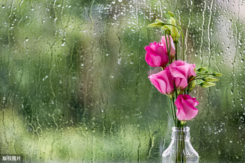 描写雨天古诗绘雨天的诗句，形容雨天的唯美古诗词