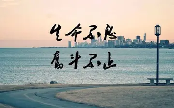 关于青春与梦想的作文600字（分享10篇以青春与梦想为主题的的作文）