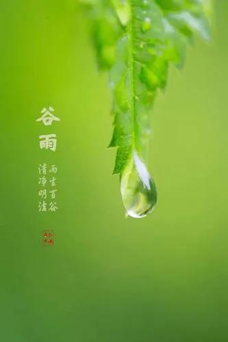 2022谷雨节气唯美祝福语赏析（好雨生百谷，好友送祝福）