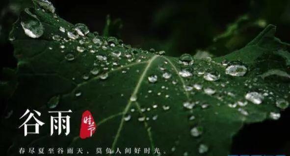 谷雨时节感怀句子（美得豁达，美得坦荡）