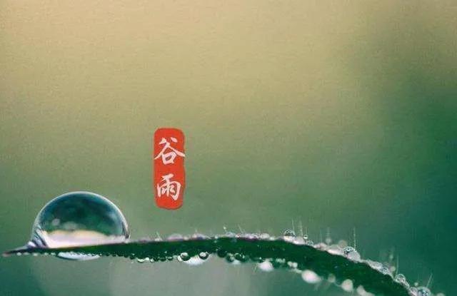 谷雨时节感怀句子（美得豁达，美得坦荡）