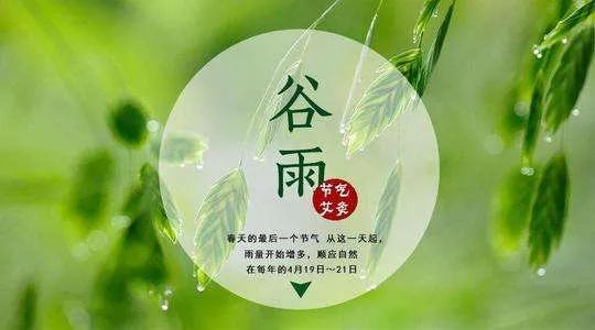 谷雨时节感怀句子（美得豁达，美得坦荡）