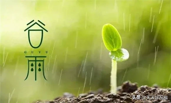 谷雨时节到，万物有生机（谷雨节气短信祝福语）