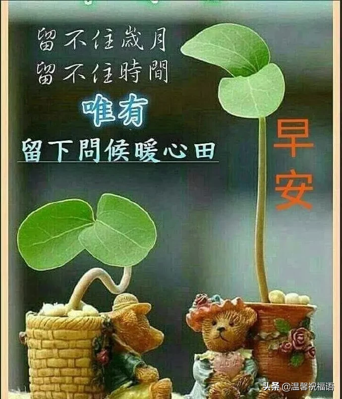 谷雨节气清晨慰问温馨祝福语录（不如用自己的努力，争取更多的美好和幸运）