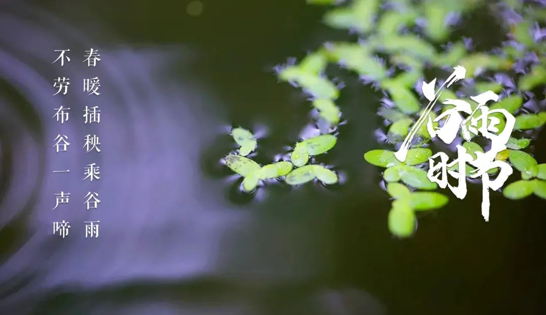 谷物时节，万物生长（有关谷雨祝福语经典古诗）