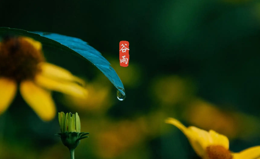 谷物时节，万物生长（有关谷雨祝福语经典古诗）