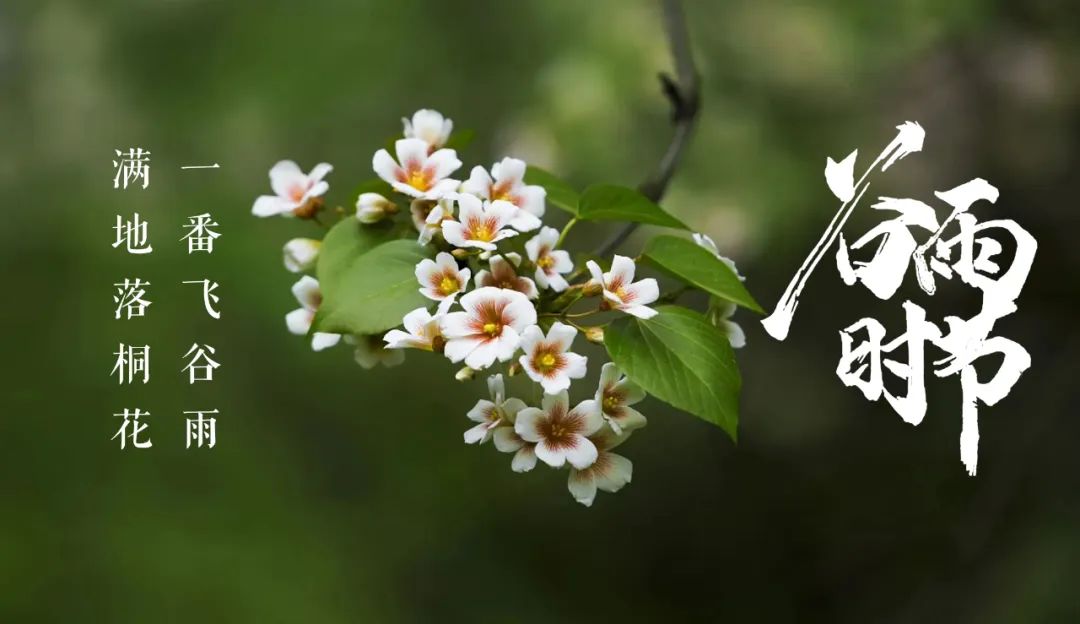 谷物时节，万物生长（有关谷雨祝福语经典古诗）