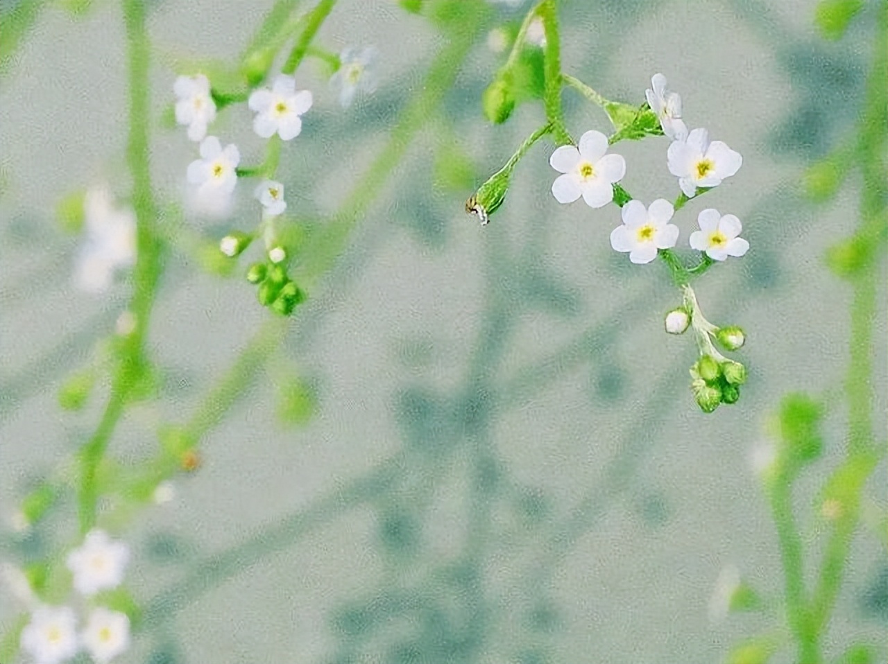 关于初夏优美古诗词，一切恰到好处