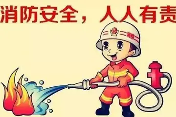 2022一一九全国消防宣传日活动总结范文（119全国消防宣传日宣传工作总结范例）