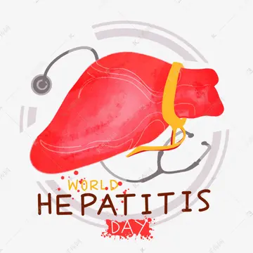 2022世界肝炎日的活动总结及评价，世界肝炎日的宣传活动及目标