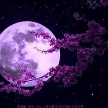 关于中秋节的贺词及祝福语（分享50句中秋节贺词）