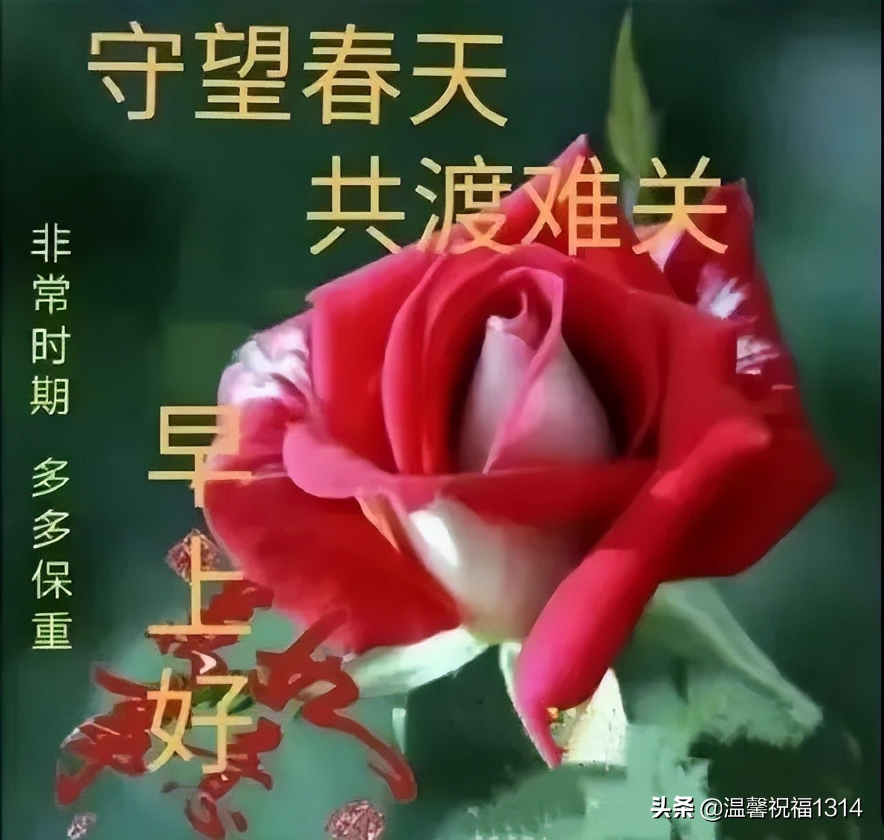 抗击疫情期间的鼓励短句（精选抗击疫情美好祝福）