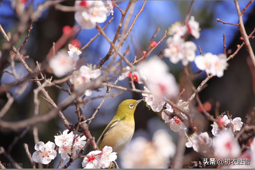 ​唯美春节古诗三首，春节祝福佳节祝愿的古诗