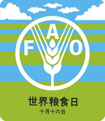 2022世界粮食日爱粮节粮主题活动总结范文（世界粮食日节约粮食宣传工作总结范例）