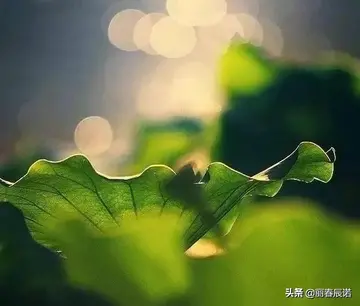 关于大暑节朋友圈创意简约文案（分享大暑节朋友圈创意幽默说说）