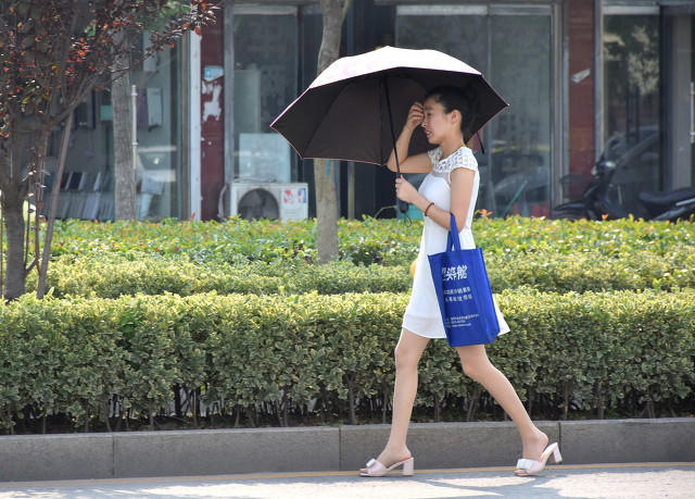 表达夏日心情愉悦的古诗词（夏日的心情简短的诗歌）