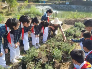 2022学生劳动教育活动总结及方案，以劳动教育为主题的活动内容及目的