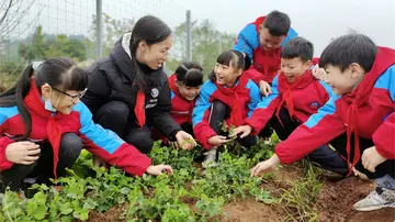 2022学生劳动教育活动总结及方案，以劳动教育为主题的活动内容及目的