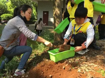 2022学生劳动教育活动总结及方案，以劳动教育为主题的活动内容及目的