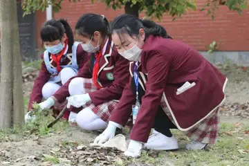 2022学校劳动教育活动主题背景及总结（学校劳动教育实践活动内容及方案）