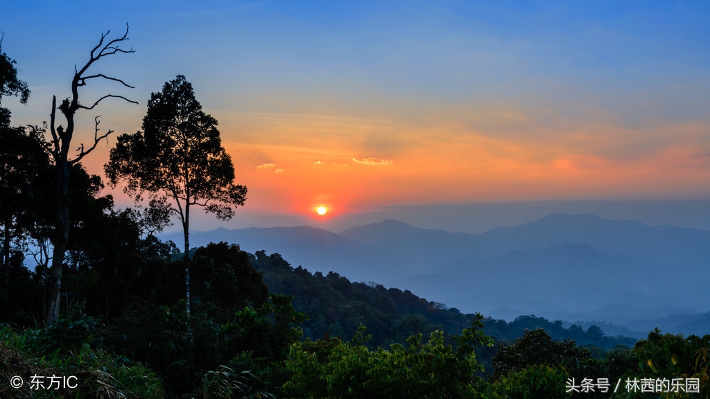 赞美日落的唯美诗句赏析（歌咏夕阳经典的8首诗词）