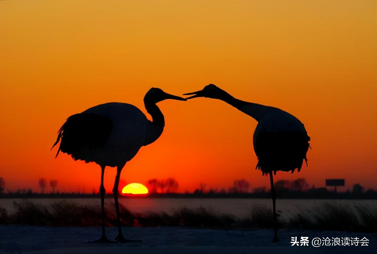 赞美夕阳的三首经典律诗（夕阳无限好，只是近黄昏）