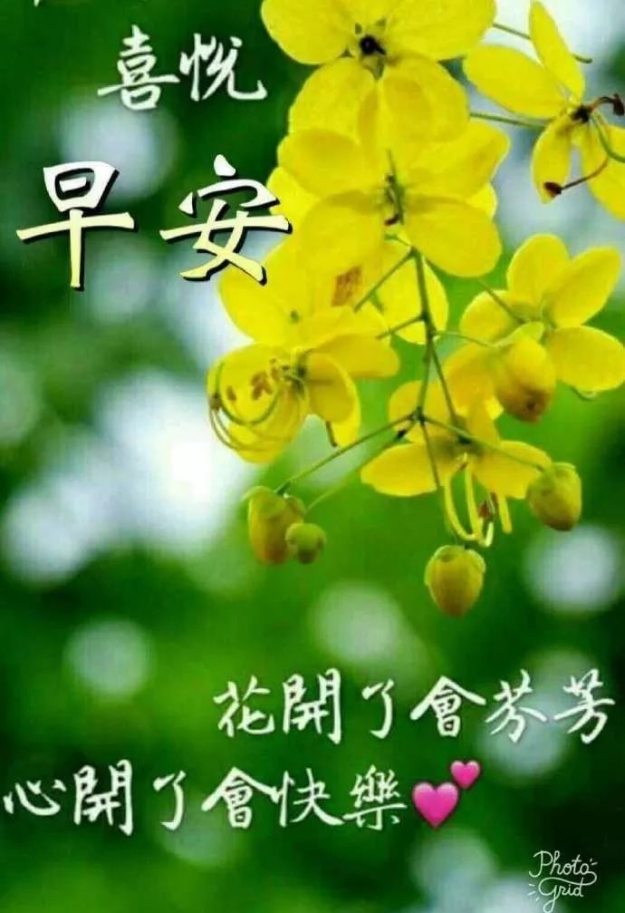 早安祝福语短信大全（天天如意在眼前）