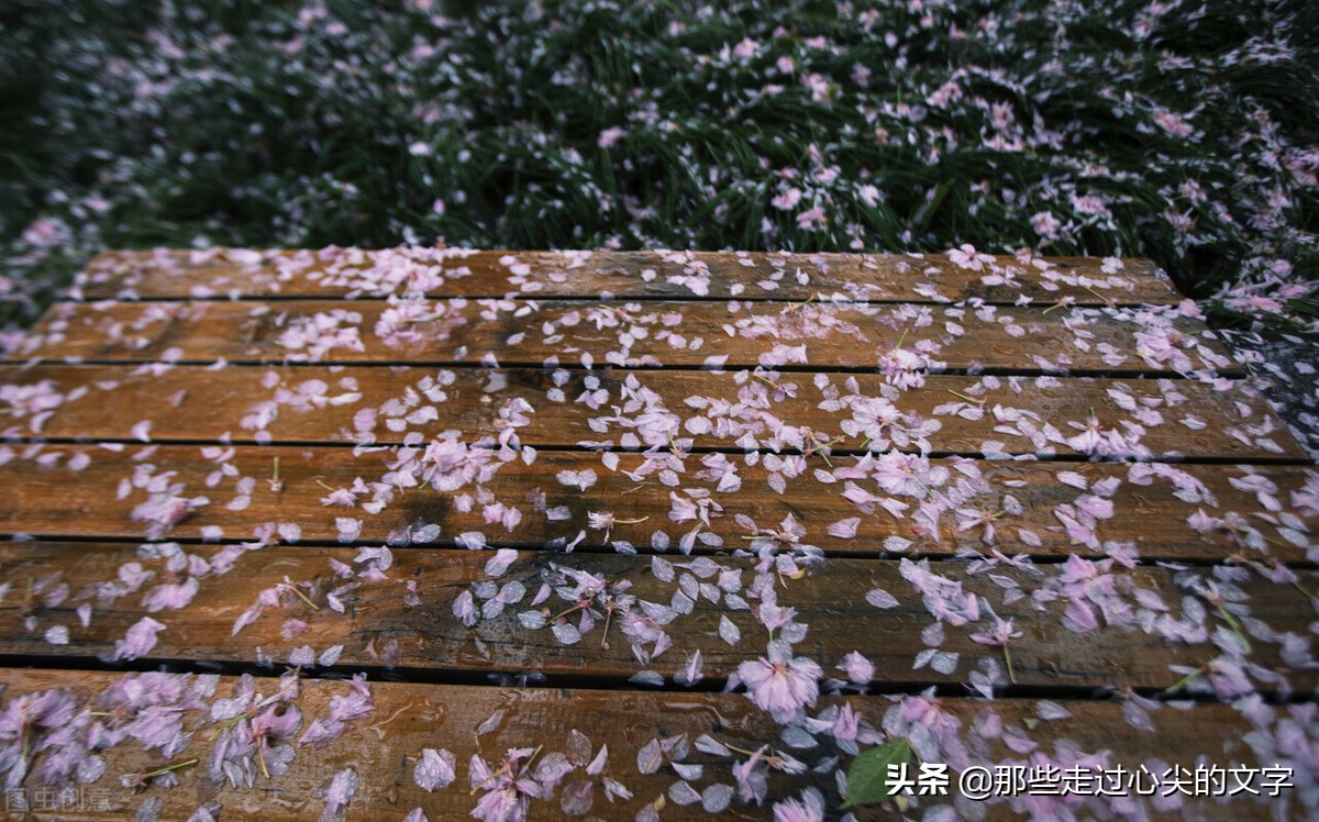 表达伤感哲理文案推荐（风雨人生路，你陪我一程）