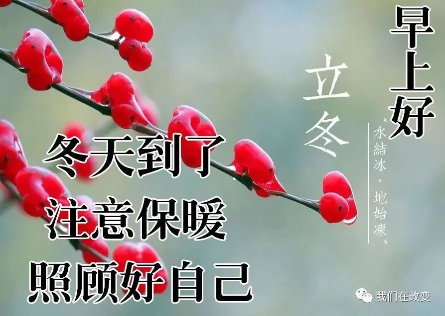 2022立冬节气祝福语鉴赏（立冬到来，愿你的冬天开开心心）