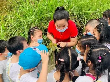 2022幼儿园组织学生社会实践活动总结模板（幼儿园社会实践活动宣传工作总结范本）