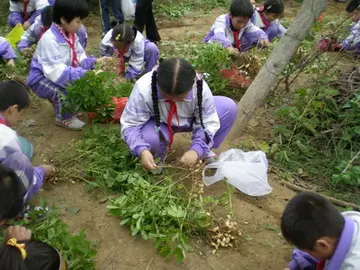 2022学生社会实践活动个人自我总结范文（假期社会实践学生个人总结报告范例）