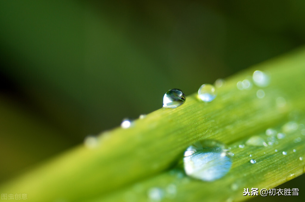 有关优美的白露节气唐诗（秋草白露时，故园益相思）