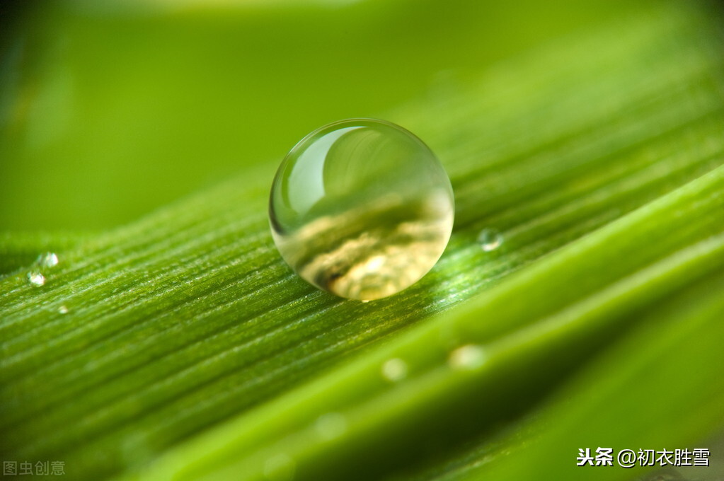 有关优美的白露节气唐诗（秋草白露时，故园益相思）