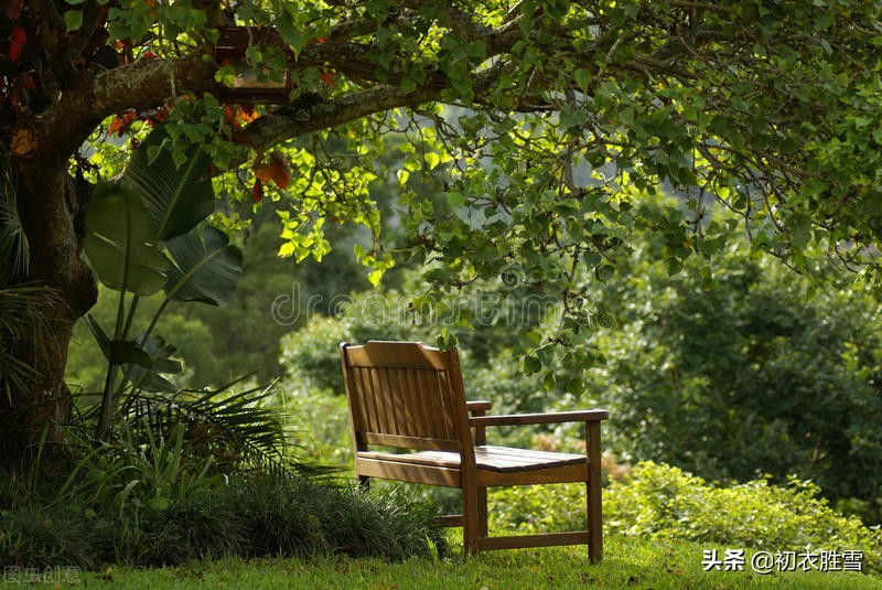 立夏著名有哪些古诗（关于立夏经典诗词六首）