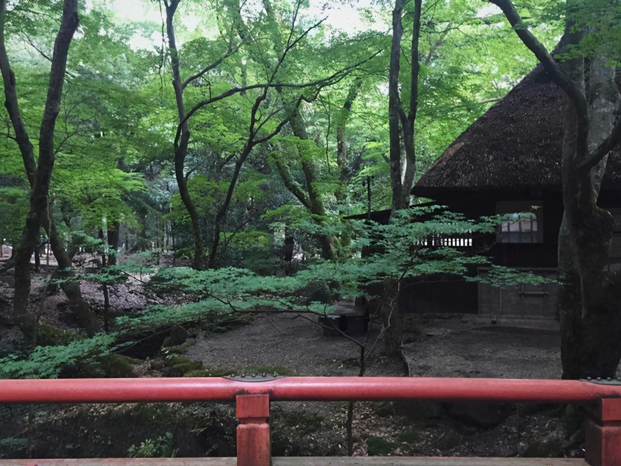 描写立夏的著名古诗名句（愿你的日子如立夏节气，蒸蒸日上）