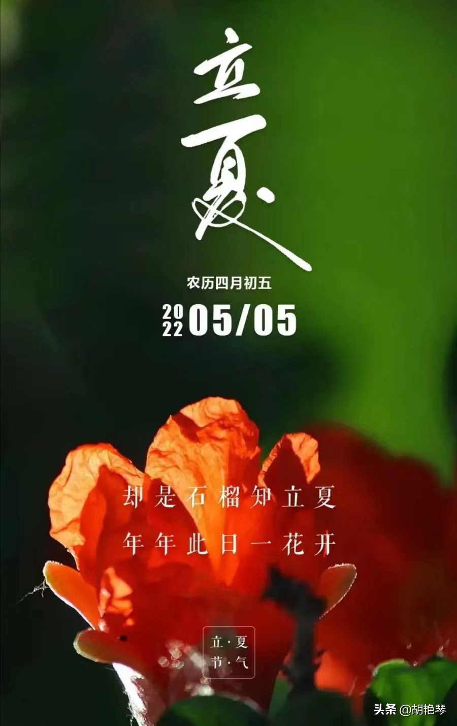 赞美立夏的10首立夏诗词（作别春光，夏日渐至）