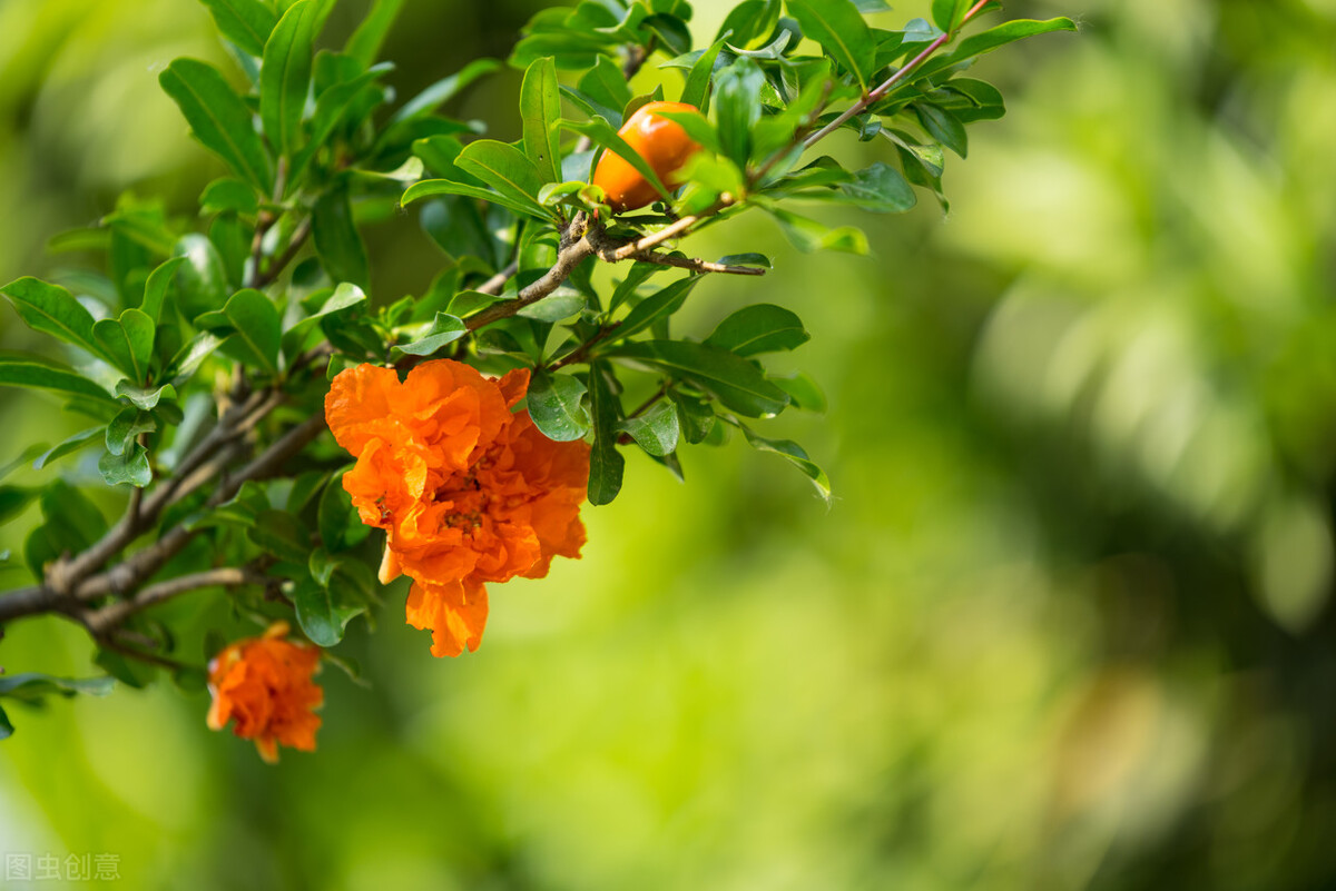 赞美立夏6首唯美古诗词（立夏已到，愿好运阳光将你照）